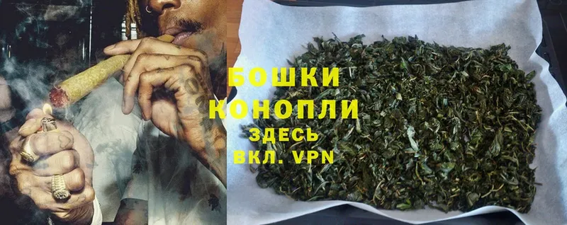 купить наркотики цена  Анадырь  MEGA ссылки  Марихуана Ganja 